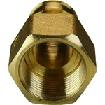 Муфта Giacomini для системы GX ВР 25x3/4", GX109Y045 5