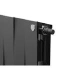 Радиатор Royal Thermo PianoForte 200 /Noir Sable - 20 секц. VDR 3
