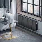 Радиатор биметаллический Royal Thermo PianoForte 300 Чёрный - 14 секц. 5