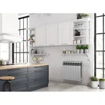 Радиатор Royal Thermo BiLiner 500 /Silver Satin VR - 12 секц. 4