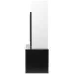 Каминокомплект: Очаг Electrolux EFP/P-3020LS N, портал Combi 30 белый, черный, р/в 3