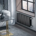Радиатор Royal Thermo PianoForte 300 /Noir Sable - 10 секц. 7