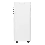 Кондиционер мобильный AC ELECTRIC Diona ACE-09 TR/N6 4