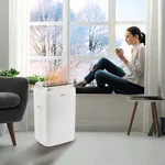 Кондиционер мобильный Ballu Platinum Comfort BPHS-08H 8