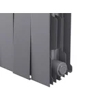 Радиатор Royal Thermo PianoForte 200 /Silver Satin - 10 секц. 2