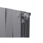 Радиатор Royal Thermo PianoForte 200 /Silver Satin - 10 секц. 3