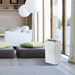 Кондиционер мобильный Ballu Platinum Comfort BPHS-13H 9