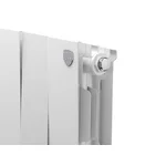 Радиатор Royal Thermo PianoForte 200 /Bianco Traffico - 10 секц. 3