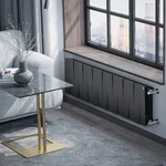Радиатор биметаллический Royal Thermo PianoForte 300 Чёрный - 16 секц. 5