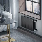 Радиатор биметаллический Royal Thermo PianoForte 300 Чёрный - 8 секц. 5