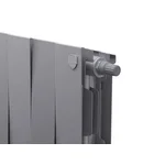 Радиатор Royal Thermo PianoForte 200 /Silver Satin - 20 секц. VDR 3