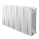 Радиатор Royal Thermo PianoForte 300 /Bianco Traffico - 10 секц. 1
