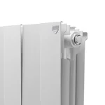Радиатор Royal Thermo PianoForte 300 /Bianco Traffico - 10 секц. 5