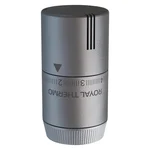 Термоголовка жидкостная Royal Thermo Design М30х1,5 (серебристый) 4