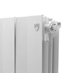 Радиатор Royal Thermo PianoForte 200 /Bianco Traffico - 20 секц. 5