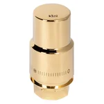 Термоголовка жидкостная Royal Thermo Design PRO М30х1,5 (золото) 2